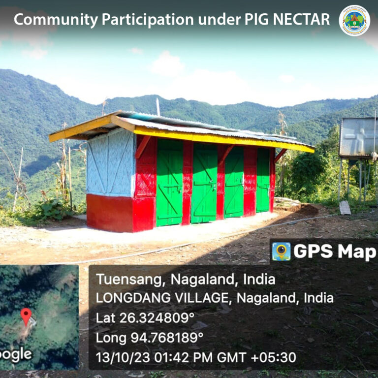 Community Participation under PIG NECTAR | GMS Longdang