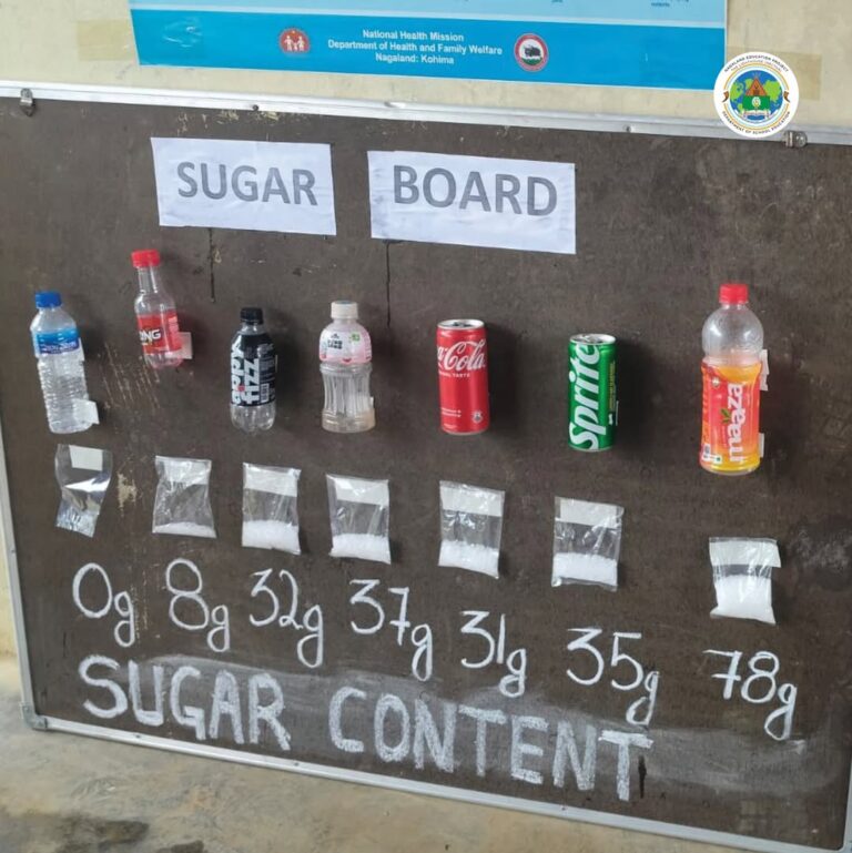 Govt. School Diaries: GHSS Tseminyu and GHSS Wokha
