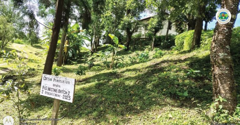 PIG Diaries: GHS Sendenyu, Tseminyu District